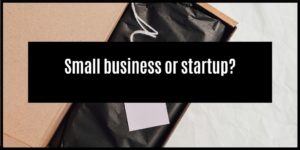 Read more about the article Is This A Startup Or A Small Business?