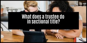 Read more about the article Why you need to choose the right trustees for sectional title schemes