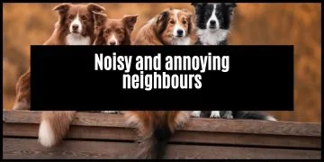 How To Dealing With Noisy/Nuisance Neighbours in South Africa